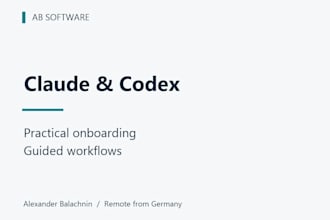 guide you through a practical claude or codex workflow