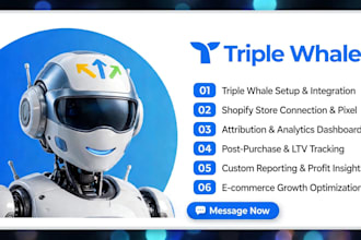 be expert triple whale setup ecommerce analytics, audit fix analytics issue
