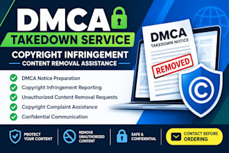 provide dmca takedown and copyright infringement reporting services