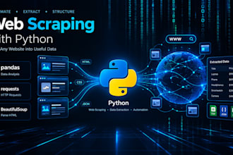 write a custom python web scraper for data extraction