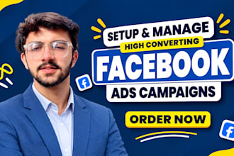 manage meta ads campaigns with audience targeting