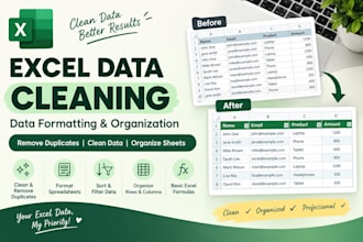 clean format and organize excel data