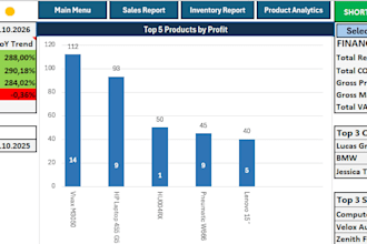 create a custom excel erp with fifo inventory, sales and business analytics