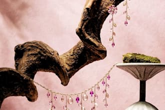 create luxury campaign and ad creative for brands