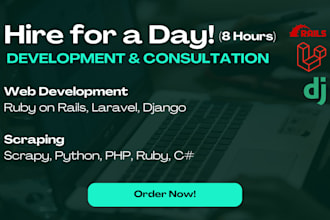 provide 8 hours of programming and bug fixing