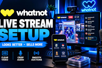 build a professional whatnot vertical stream setup with obs