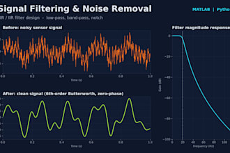 do dsp and signal processing in matlab and python