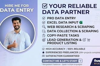 do professional data entry, web research and copy paste