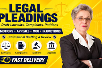 draft lawsuits, complaints, petitions, motions, appeals, mou, injunctions, nda