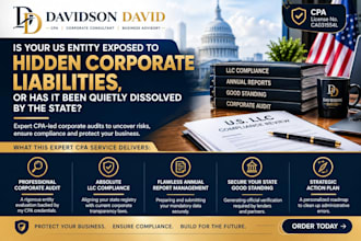 do a corporate audit for llc compliance, annual report and CPA health check