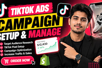 set up tiktok ads campaign and tiktok ads manager