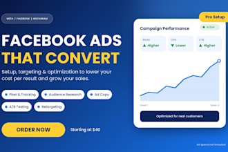 run facebook ads, instagram ads, meta ads  for lead generation and conversions