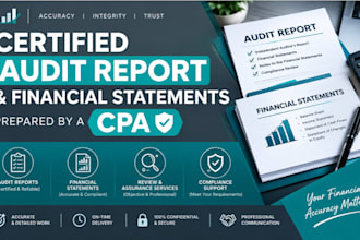 prepare certified audit report, financial statements as a CPA