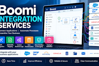 develop boomi integrations and rest API workflows