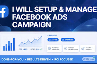 manage profitable facebook ads campaing