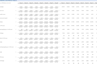 do financial ratio analysis and a clear performance report