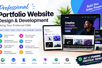 do wagtail umbraco kentico directus strapi payload sanity cms portfolio website