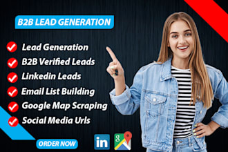 do b2b lead generation, lead scraping and prospect email list building service