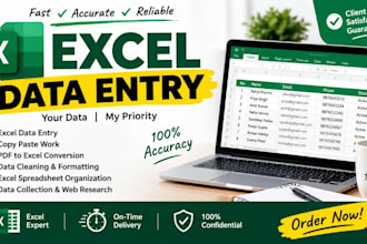 do excel data entry, copy paste and data cleaning and do fast