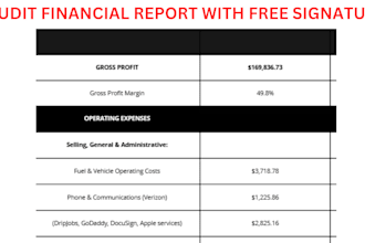 prepare a CPA comfort letter and financial statement review, profit and loss