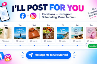 manage and schedule post on facebook and instagram for you