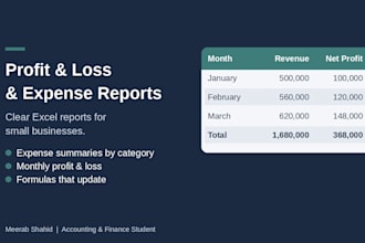 create profit and loss and expense reports in excel