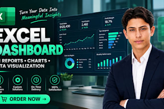 create professional dashboards and reports in excel