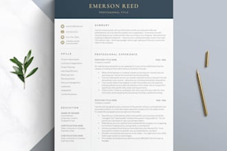 write a professional swedish or english CV and cover letter