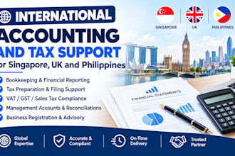 provide international accounting and tax support for singapore and UK