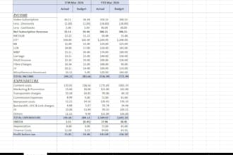 create financial dashboards, mis reports, and budgeting analysis
