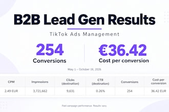 set up and manage tiktok ads for ecommerce and lead generation