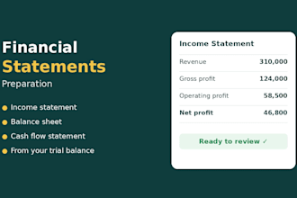 prepare financial statements, income statement, balance sheet and cash flow
