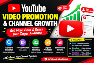 do organic youtube channel growth and video promotion