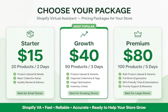 be your shopify virtual assistant for data entry