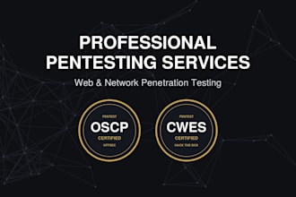 do web and network penetration testing
