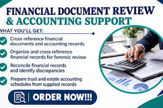 organize and cross reference financial records for forensic review