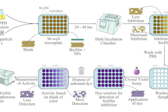 design graphical abstract and scientific illustrations for you