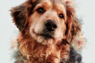 do pet memorial portrait angel wings heaven sky wall art