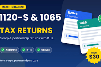 prepare s corps partnership or llc  business tax return