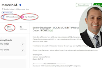 create a custom indicator or ea for metatrader mt4  mql4 forex robot expert
