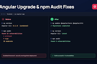 upgrade your angular app and fix npm vulnerabilities