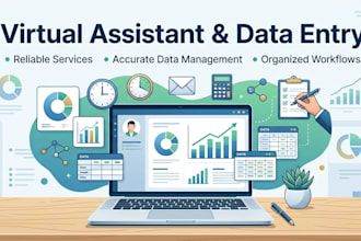 professional virtual assistant and data entry services