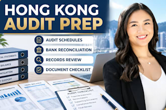 organize hong kong company accounts for audit preparation