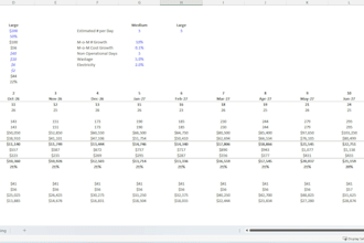 build a custom, fully dynamic forecast and budget model
