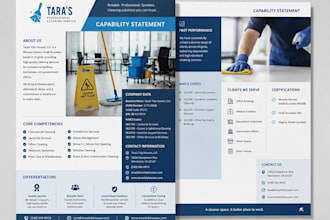 design a professional government contract capability statement
