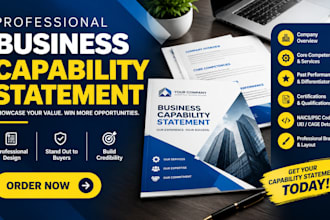 write business capacity statement company profile  and government contracts