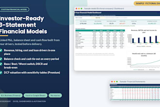 build an investor ready 3 statement financial model and forecast