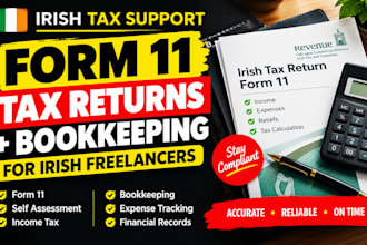 prepare irish form 11 tax returns and bookkeeping for freelancers