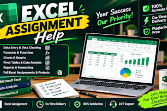 solve  microsoft excel assignment project and tasks