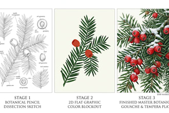 create custom botanical and holiday 2d fine art illustrations